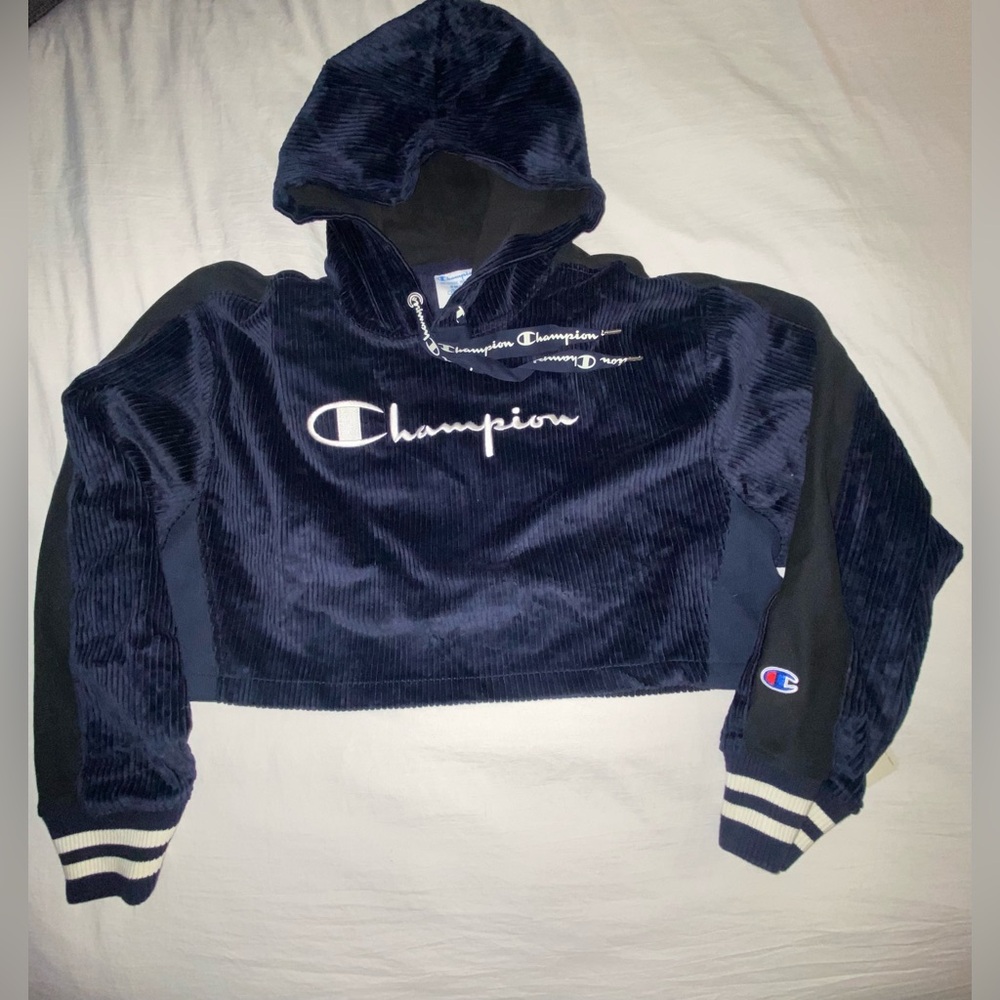 Blue suede champion crop hoodie